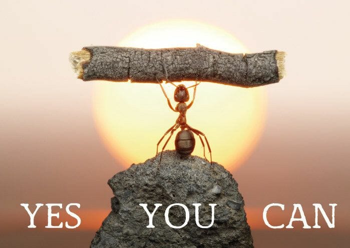 Because you can