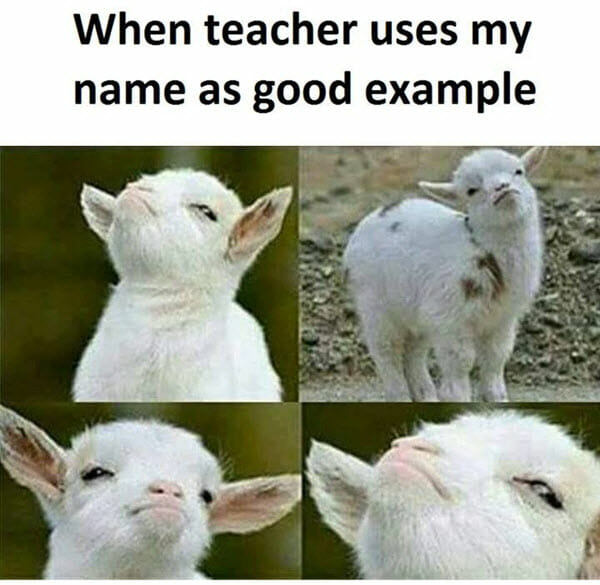 Excellent example to Everyone