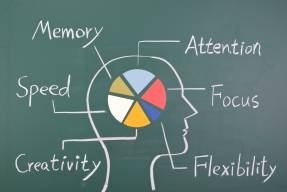 Authentic exercises and tasks