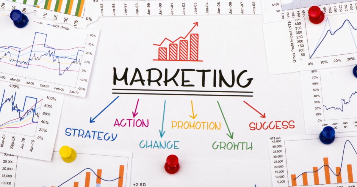 Our Guide to Becoming a Marketing Professional
