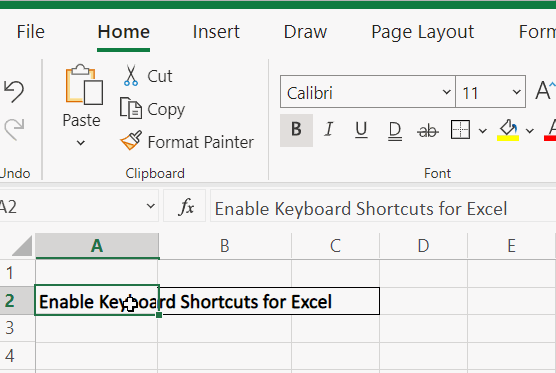 Applying bold with Excel shortcut